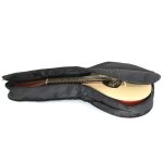 Orlando Mandolin Bag - imagine 6