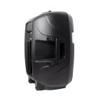ProShow 15A boxa activa - imagine 4