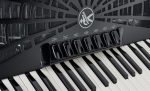 Hohner Bravo III 120 silent key - imagine 3