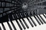 Hohner Bravo III 96 silent key - imagine 5