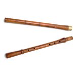 Caval traditional acordabil - imagine 2