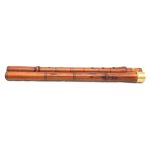 Caval traditional acordabil - imagine 4