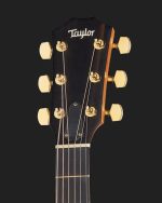 Chitara electro-acustica Taylor 224ce Dlx - imagine 3