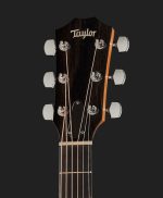 Chitara electro-acustica TAYLOR 110e - imagine 3