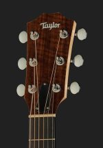 Chitara Acustica Big Baby Taylor BBT - imagine 3