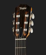 Chitara Clasica Taylor 214ce-N - imagine 3