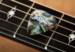 Set pene chitara Taylor .46mm - imagine 2