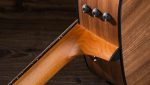 Taylor 150e Walnut - imagine 10
