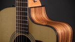 Taylor 210ce Plus - imagine 4