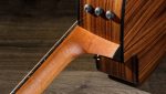 Taylor 210ce Plus - imagine 8