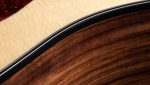 Taylor 210ce Plus - imagine 9