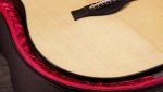 Taylor 210ce Plus - imagine 11