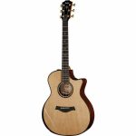 Taylor 914ce