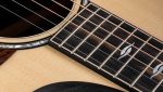 Taylor Builders Edition 816ce - imagine 4