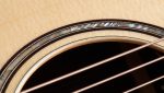 Taylor Builders Edition 816ce - imagine 5