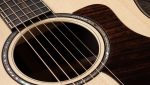 Taylor Builders Edition 816ce - imagine 7