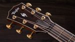 Taylor Builders Edition 816ce - imagine 9
