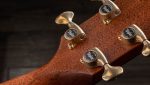 Taylor Builders Edition 816ce - imagine 11