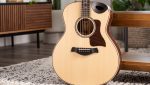 Taylor Builders Edition 816ce - imagine 12