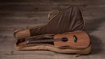 Taylor Big Baby Taylor BBT Walnut - imagine 5