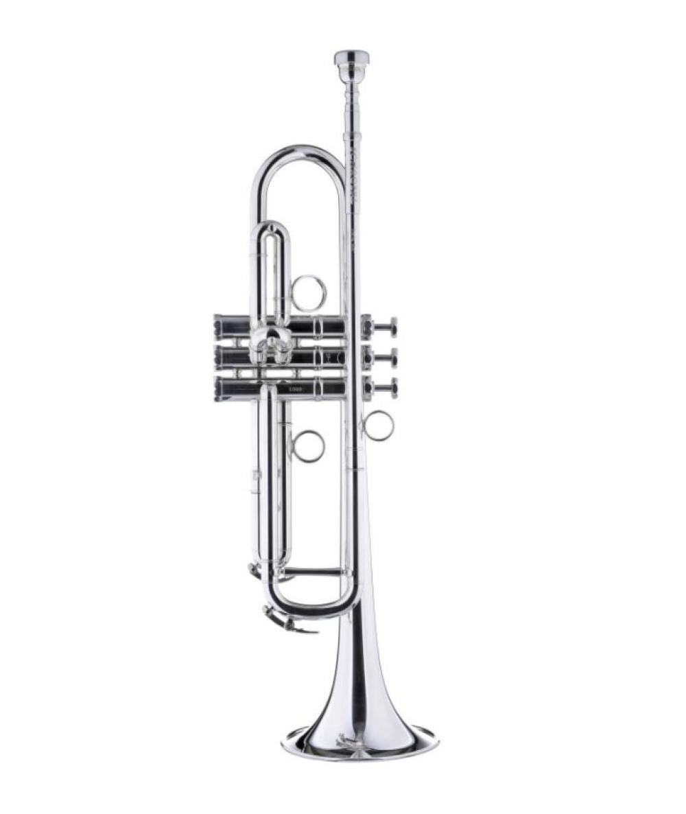 ps-products-20599-56010 Schagerl Signature B-Trumpet "James Morrison" JM1-S silver - imagine 1