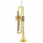 Schagerl TR-421L Bb - imagine 2