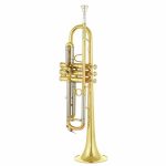 Schagerl TR-610L Bb - imagine 2