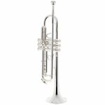 Schagerl TR-620S Bb - imagine 2