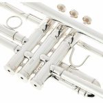 Schagerl TR-620S Bb - imagine 7