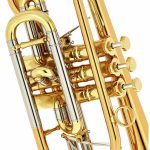 Schagerl Hans Gansch Bb- Cornet - imagine 3