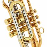 Schagerl Hans Gansch Bb- Cornet - imagine 4