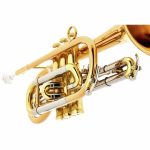 Schagerl Hans Gansch Bb- Cornet - imagine 6