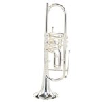 Schagerl Salzburg S Bb - imagine 3