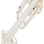 Schagerl Salzburg S Bb - imagine 8