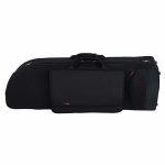 Schagerl Meister Fibre glass Trombone Case - imagine 4