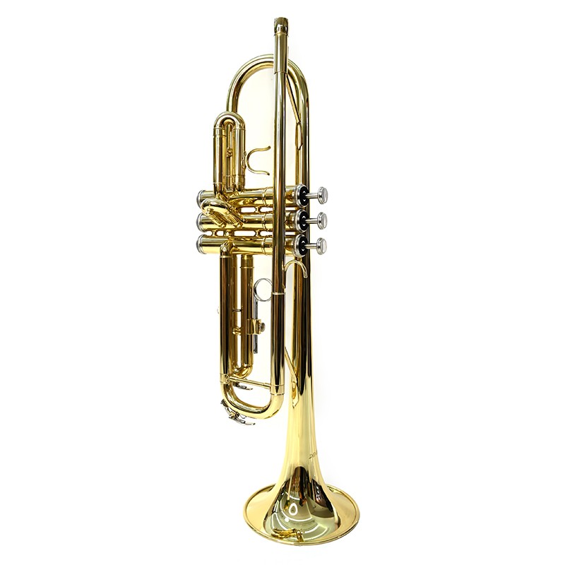 ps-products-21144-58158 Trompeta Bb Denver - imagine 1