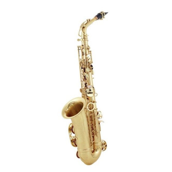 ps-products-21151-58189 Denver Alto Sax - imagine 1