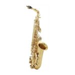 Denver Alto Sax - imagine 2
