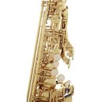 Denver Alto Sax - imagine 3