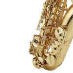 Denver Alto Sax - imagine 5