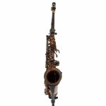 Schagerl A-1VB Superior Alto Sax - imagine 2