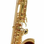 Schagerl Superior Tenor Sax T-1L - imagine 9