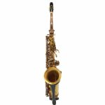 Schagerl A-2V SuperiorPro Alto Sax - imagine 2