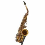 Schagerl A-2V SuperiorPro Alto Sax - imagine 3