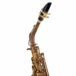 Schagerl A-2V SuperiorPro Alto Sax - imagine 11