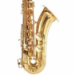 Schagerl SuperiorPro Tenor Sax T-2L - imagine 5