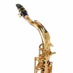 Schagerl SuperiorPro Tenor Sax T-2L - imagine 10
