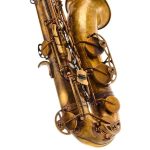 Schagerl SuperiorPro Tenor Sax T-2V - imagine 9