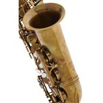 Schagerl Alto Sax 66FV-EC - imagine 3