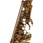 Schagerl Alto Sax 66FV-EC - imagine 5
